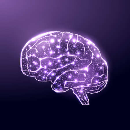 Human brain. Wireframe low poly style. Concept for medical, brain cancer, neural network. Abstract...
