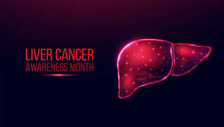 Human liver. Wireframe low poly style. Concept for medical, treatment of the hepatitis. Abstract modern 3d vector illustration on dark blue background.のイラスト素材