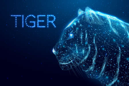 Wire frame polygonal tiger. Concept with glowing low poly head tiger. Futuristic modern abstract background. Vector illustration.のイラスト素材