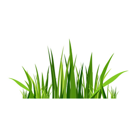 Green spring grass. Isolated on white background. Vector illustration.のイラスト素材
