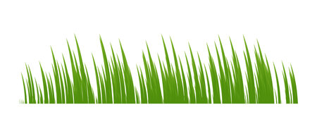Green spring grass. Isolated on white background. Vector illustration.のイラスト素材