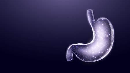 Stomach cancer awareness month. Wireframe low poly style. Concept for medical, treatment of the digestive system. Abstract modern 3d vector illustration on dark blue background.のイラスト素材
