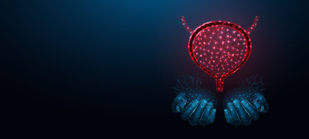 Two human hands are holding human bladder. Medical concept, bladder cancer, cystitis, human excretory system. Wireframe low poly style. Abstract vector illustration on dark blue backgroundのイラスト素材