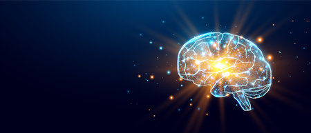 Human brain. Wireframe low poly style. Concept for medical, brain cancer, neural network. Abstract...