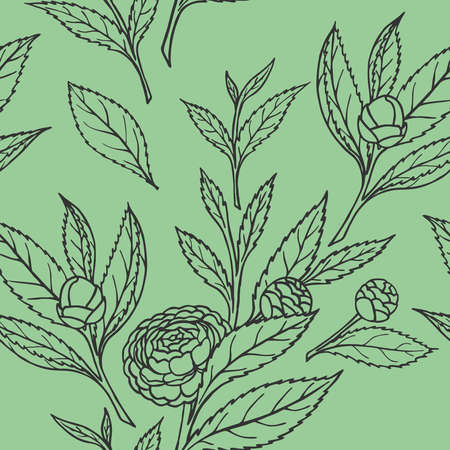 SEAMLESS PATTERN WITH CAMELLIA SPRIGS ON A GREEN BACKGROUND IN A VECTORのイラスト素材