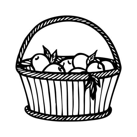 WICKER BASKET WITH APPLES ON A WHITE BACKGROUND IN VECTORのイラスト素材