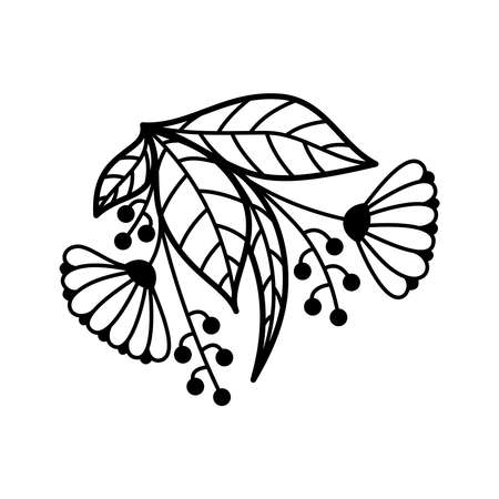 FLOWER ARRANGEMENT ON A WHITE BACKGROUNDのイラスト素材