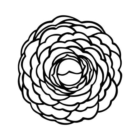 LUSH CAMELLIA FLOWER ON A WHITE BACKGROUND IN VECTORのイラスト素材