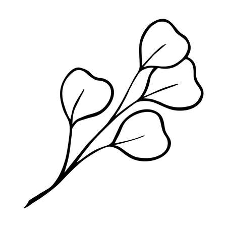 A SPRIG OF EUCALYPTUS ON A WHITE BACKGROUND IN A VECTORのイラスト素材