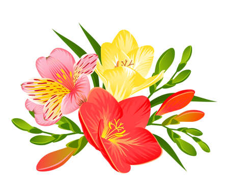 BOUQUET WITH ALSTROEMERIA AND FREESIA FLOWERS ON A WHITE BACKGROUND IN VECTORのイラスト素材