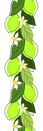 SEAMLESS BORDER WITH LIME TREE LEAVES AND FRUITS IN VECTORのイラスト素材