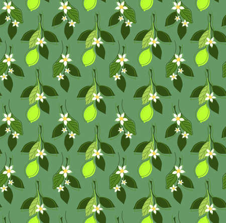 SEAMLESS PATTERN WITH LIME TREE BRANCHES AND FRUITS IN VECTORのイラスト素材