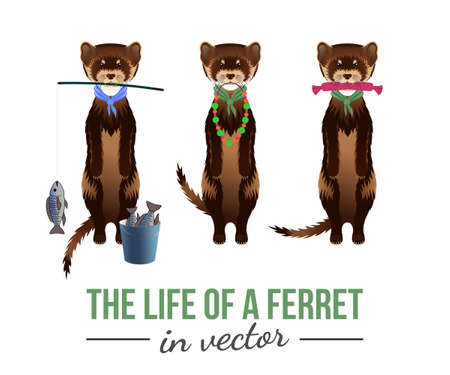 BROWN FERRETS WITH THEIR TOYS IN VECTORのイラスト素材