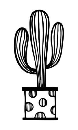 DRAWN SKETCH OF CACTUS IN THE VECTORのイラスト素材