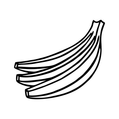 DRAWING OF A BANANA ON A WHITE BACKGROUND IN VECTORのイラスト素材