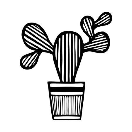 DRAWN SKETCH OF CACTUS IN THE VECTORのイラスト素材