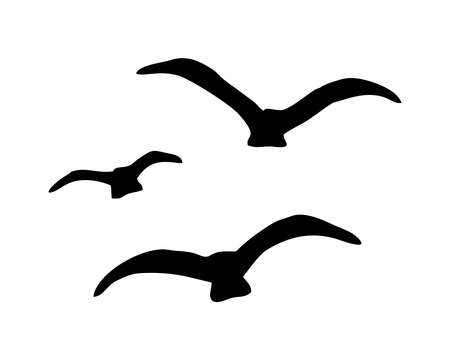 THREE SILHOUETTES OF SEA GULLS IN THE VECTORのイラスト素材