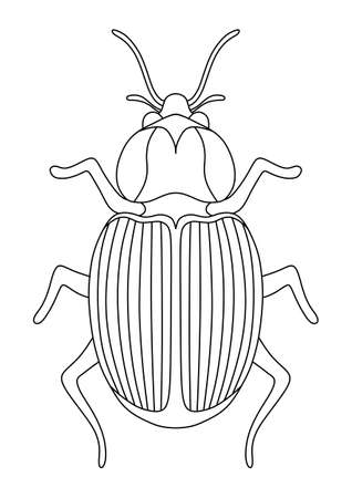 COLORING BOOK WITH HUMMINGBIRDS AND FLOWERS ON A WHITE BACKGROUNDのイラスト素材