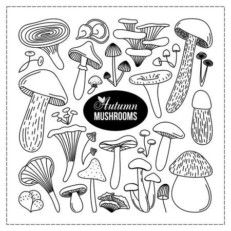 LARGE SET OF PAINTED AUTUMN MUSHROOMS IN VECTORのイラスト素材