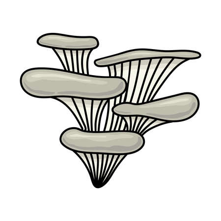 BROWN MUSHROOM ON A WHITE BACKGROUNDのイラスト素材