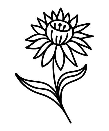 BEAUTIFUL FLOWER ON A WHITE BACKGROUND IN VECTORのイラスト素材