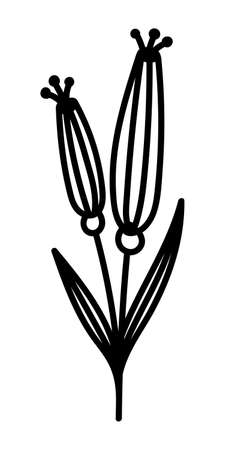 STYLIZED LEAF ON A WHITE BACKGROUND IN VECTORのイラスト素材