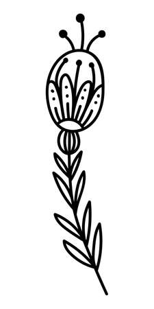 STYLIZED LEAF ON A WHITE BACKGROUND IN VECTORのイラスト素材