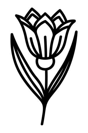 STYLIZED LEAF ON A WHITE BACKGROUND IN VECTORのイラスト素材