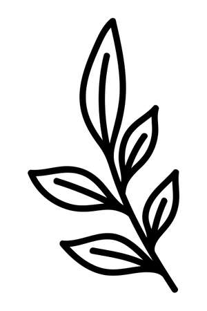 STYLIZED LEAF ON A WHITE BACKGROUND IN VECTORのイラスト素材