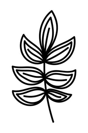 STYLIZED LEAF ON A WHITE BACKGROUND IN VECTORのイラスト素材