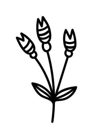 BEAUTIFUL FLOWER ON A WHITE BACKGROUND IN VECTORのイラスト素材