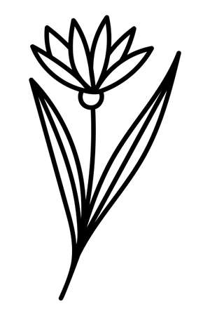 STYLIZED LEAF ON A WHITE BACKGROUND IN VECTORのイラスト素材