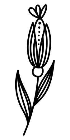 BEAUTIFUL FLOWER ON A WHITE BACKGROUND IN VECTORのイラスト素材