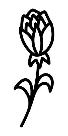 BEAUTIFUL FLOWER ON A WHITE BACKGROUND IN VECTORのイラスト素材