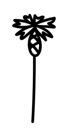 BEAUTIFUL FLOWER ON A WHITE BACKGROUND IN VECTORのイラスト素材