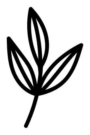 STYLIZED LEAF ON A WHITE BACKGROUND IN VECTORのイラスト素材