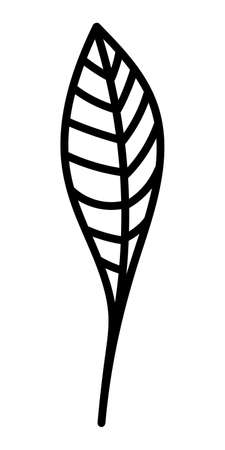 STYLIZED LEAF ON A WHITE BACKGROUND IN VECTORのイラスト素材