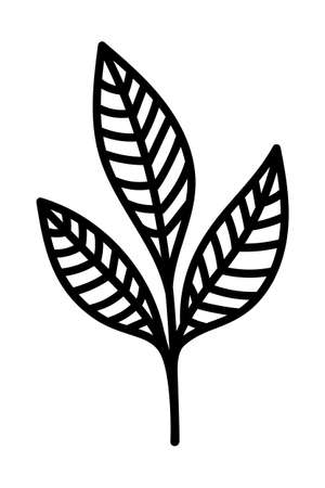 STYLIZED LEAF ON A WHITE BACKGROUND IN VECTORのイラスト素材