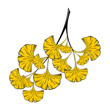 SEAMLESS PATTERN WITH GREEN GINKGO BILOBA LEAVES ON A YELLOW BACKGROUND IN VECTORのイラスト素材