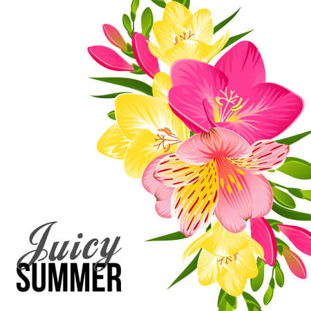 SUMMER TROPICAL FLOWERS ON A WHITE BACKGROUND IN VECTORのイラスト素材