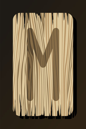 OLD WOODEN RUNE OF EHWAZ ON A WHITE BACKGROUND IN VECTORのイラスト素材