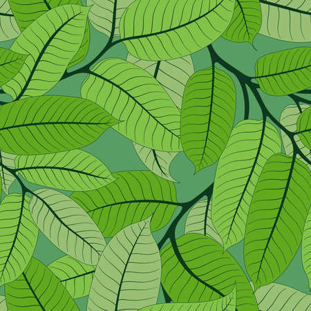 SEAMLESS PATTERN WITH LIGHT GREEN VIROLA BRANCHES ON MINT BACKGROUND IN VECTORのイラスト素材