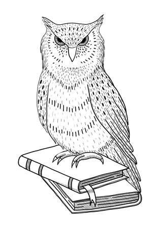 Black outline drawing of an owl and books on a white background in vectorのイラスト素材