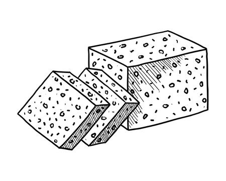 Sketch of a cheese slices on a white background in a vectorのイラスト素材