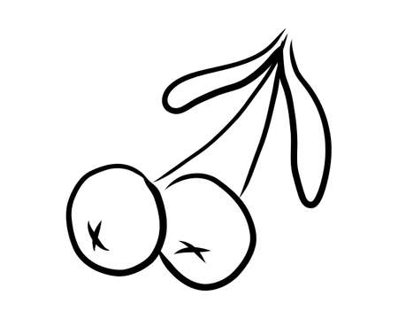 BLACK SILHOUETTE OF A CHERRY ON A WHITE BACKGROUND IN VECTORのイラスト素材