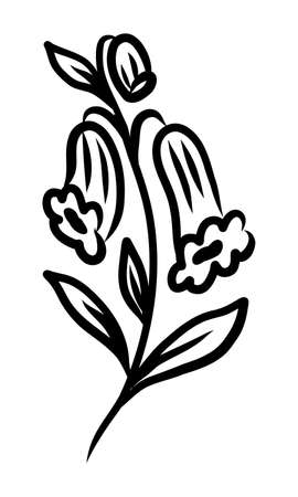 BLACK SILHOUETTE OF A FLOWERING PLANT ON A WHITE BACKGROUND IN VECTORのイラスト素材