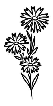 BLACK SILHOUETTE OF A FLOWERING PLANT ON A WHITE BACKGROUND IN VECTORのイラスト素材