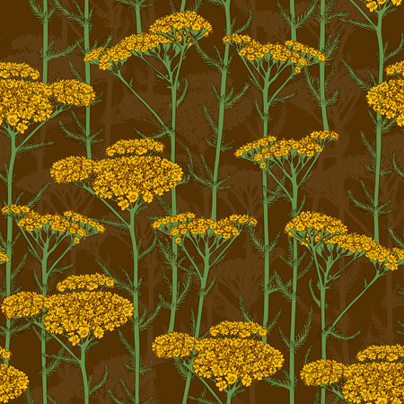 MUSTARD SEAMLESS PATTERN WITH BLOOMING YELLOW YARROW IN VECTORの写真素材