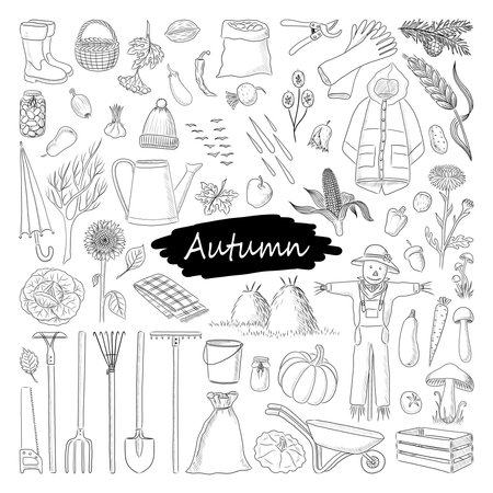 BIG SET OF AUTUMN ATTRIBUTES ON A WHITE BACKGROUND IN VECTORのイラスト素材