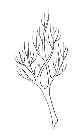 BLACK CONTOUR DRAWING OF A BARE BRANCH ON A WHITE BACKGROUND IN VECTORのイラスト素材